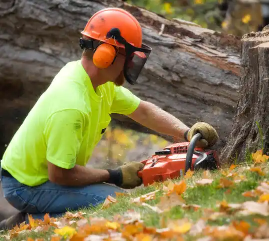 tree services Ocean Pines